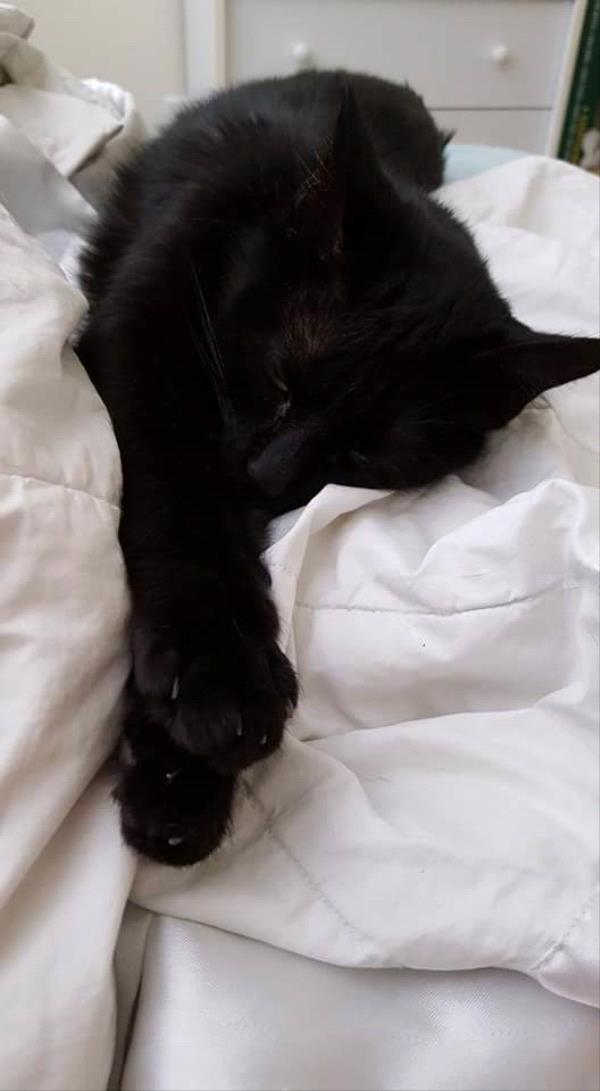 /Images/uploads/Humane Society of Utah/HSUCalendar/entries/1638thumb.jpg